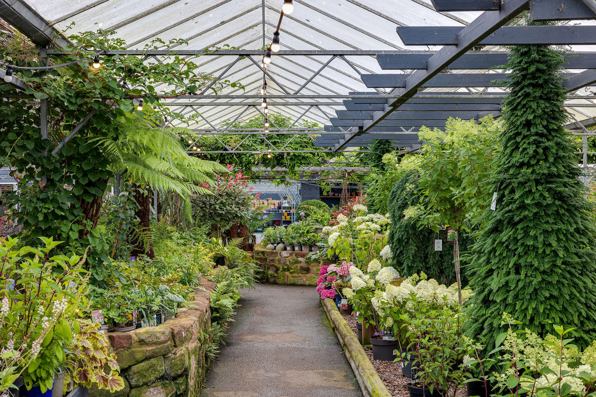 Okells Garden Centre in Tarporley