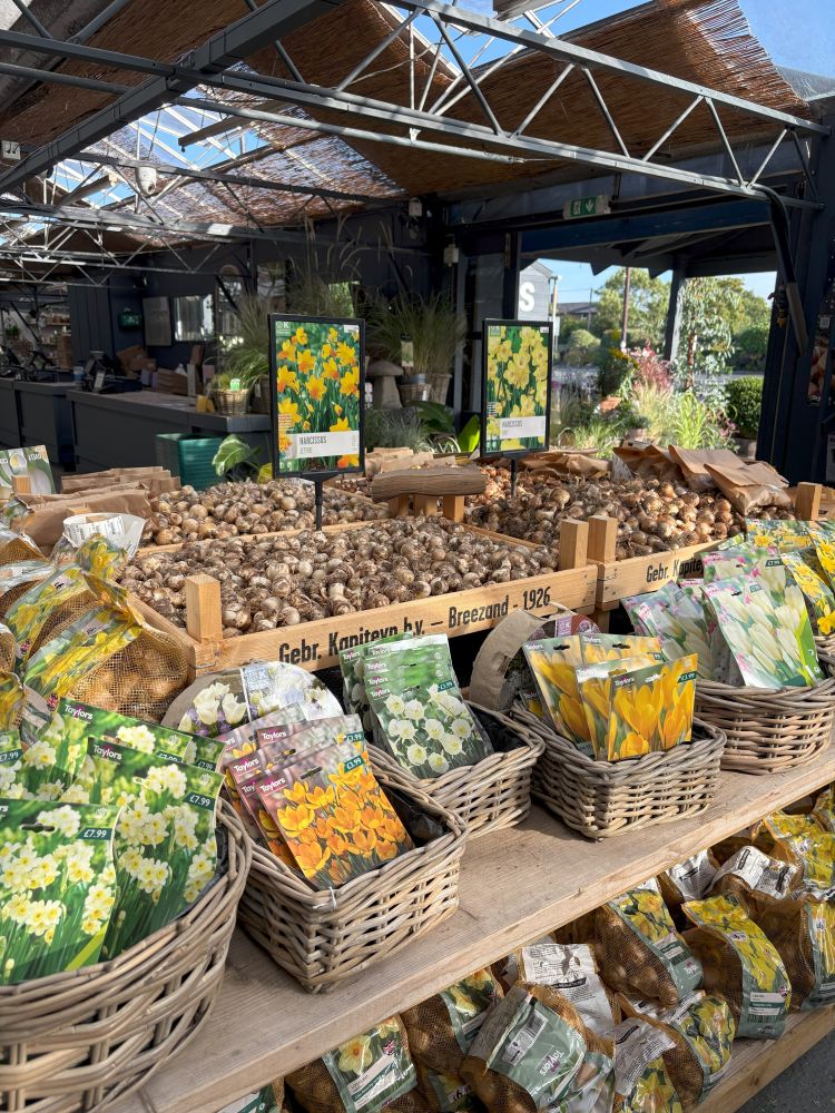 Five of our most-loved spring flowering bulbs